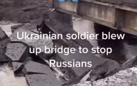 המלחמה בין רוסיה לאוקראינה מתנהלת ברשת (צילום: צילום מסך טיקטוק)