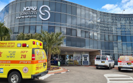 בית החולים שיבא (צילום: נעמה עזריאל, דוברות שיבא)