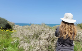 מטיילים בשבת השמשית (צילום: שרית פלאצי רשות הטבע והגנים)