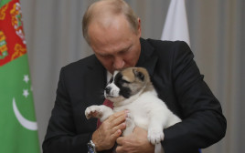 נשיא רוסיה אוהב כלבים (צילום: רויטרס)