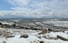 שלג בצפון רמת הגולן (צילום: רשות ניקוז ונחלים כינרת)