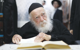 הרב חיים קנייבסקי ז"ל (צילום: יעקב נחומי, פלאש 90)