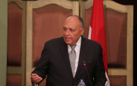 שר החוץ המצרי סאמח שוכרי (צילום: רויטרס)
