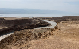 שפך הירדן בצפון ים המלח  (צילום: אבי חיים)