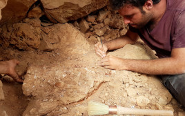 חפירה ארכיאולוגית, אילוסטרציה (צילום: רויטרס)