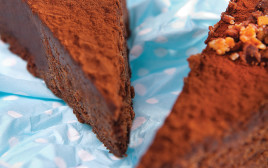 עוגת פינוק שוקולד (צילום: אנטולי מיכאלו)