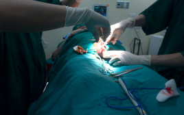 ניתוח, אילוסטרציה (צילום: אינג'אימג')