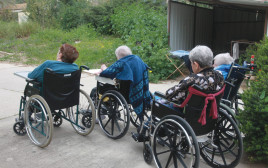 נכים על כיסא גלגלים, אילוסטרציה (למצולמים אין קשר לנאמר בכתבה) (צילום: יוסי אלוני)