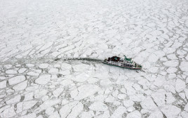 סירה יפנית (צילום: Photo by Carl Court/Getty Images)