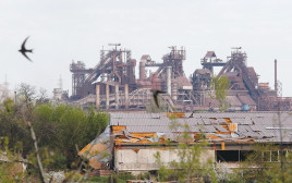 מפעל הפלדה אזובסטל במריופול, אוקראינה (צילום: רויטרס)