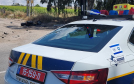 מד"א וניידת משטרה  (צילום: דוברות המשטרה)