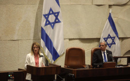 יו"ר הפרלמנט האירופי במליאת הכנסת (צילום: מרק ישראל סלם)