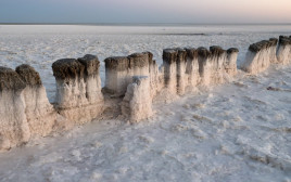 גביש מלח עשוי להכיל חיים מלפני מאות מיליוני שנים (צילום: אינג'אימג')
