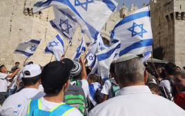 חגיגות יום ירושלים תשפ"ב  (צילום: מרק ישראל סלם)