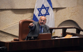 אחמד טיבי (צילום: דני שם טוב, דוברות הכנסת)