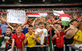 אוהדי הונגריה הצעירים במשחק נגד אנגליה (צילום: GettyImages, Michael Regan)