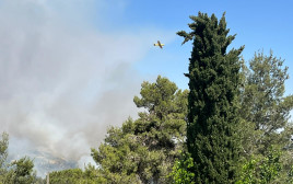 מטוס כיבוי בזירת השריפה בהרי ירושלים (צילום: דוברות המשטרה)