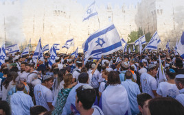 מצעד הדגלים בירושלים (צילום: נתי שוחט, פלאש 90)