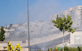 מיאו (צילום: דוברות כב"ה ירושלים)