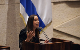 חברת הכנסת מאי גולן נואמת במליאת הכנסת (צילום: דני שם טוב, דוברות הכנסת)