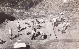 החפירות הארכיאולוגיות במחצבת עברון בגליל (צילום: ארכיון)