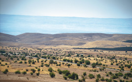 בקעת הירדן (צילום: יניב נדב, פלאש 90)