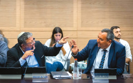 עימות בכנסת (צילום: אוליבייה פיטוסי, פלאש 90)