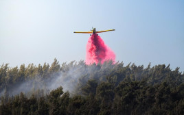מטוס כיבוי בשריפה במנרה בגליל העליון (צילום: דובר צה"ל)