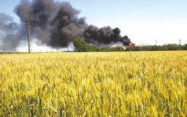 שדה חיטה נשרף באוקראינה (צילום: רויטרס)
