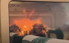 תיעוד מתוך הרכבת שנקלעה ללהבות (צילום: צילום מתוך טוויטר)