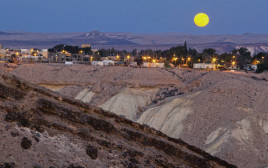 סיור לילה בנחל חווארים (צילום: זיו שרצר, בית ספר שדה שדה-בוקר)