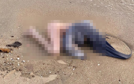 גופה אותרה על החוף, השוטרים גילו מה הסתתר מאחוריה (צילום: מתוך פייסבוק)