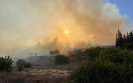 שריפה אחים שריפה (צילום: דוברות כב"ה מחוז ירושלים)