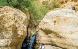 נחל ערוגות, עין גדי (צילום: מנו גרינשפן)
