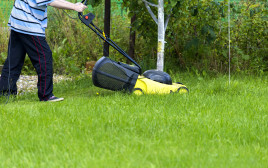 אדם מכסח את הדשא, אילוסטרציה (צילום: אינגאימג')