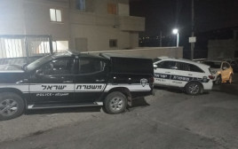 ניידות משטרה, ארכיון (צילום: דוברות המשטרה)