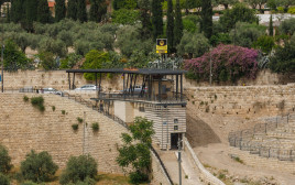 מרכז מידע בהר הזיתים (צילום: אליהו ינאי, ארכיון עיר דוד)