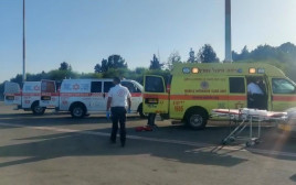 הפצועים בתאונת הדרכים בגאורגיה נחתו בישראל (צילום: תיעוד מבצעי מד"א)