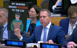 גלעד ארדן נואם בדיון הוועדה לזכויות אדם של האו"ם (צילום: משלחת ישראל באו"ם)