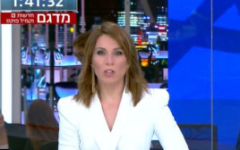 הילה קורח (צילום: צילום מסך רשת 13)
