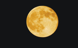 ירח מלא (צילום: אינגאימג')