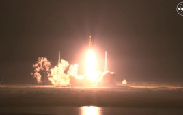 שיגור ארטמיס 1 (צילום: נאס"א)