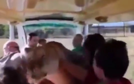 לביאה זינקה לתוך רכב המבקרים (צילום: צילום מתוך טוויטר)