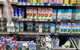 חלב בסופרמרקט (צילום: אבשלום ששוני)