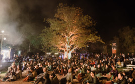 תחת עץ הבאובב בפסטיבל הגרוב עין גדי (צילום: גיל כספי)