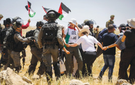 חיילים בעימות עם פעילי שמאל ופלסטינים בגזרת חברון (צילום: ויסאם השלמון, פלאש 90)
