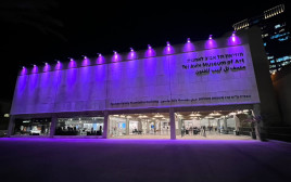 מוזיאון תל אביב לאומנות (צילום: מוזיאון תל אביב לאמנות)