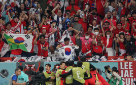 נבחרת קוריאה הדרומית חוגגת במונדיאל  (צילום: רויטרס)