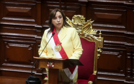 הנשיאה הזמנית של פרו, דינה בולוארטה (צילום: רויטרס)