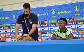 דובר נבחרת ברזיל מסלק חתול במסיבת העיתונאים עם ויניסיוס ג'וניור (צילום: GettyImages, NELSON ALMEIDA/AFP)